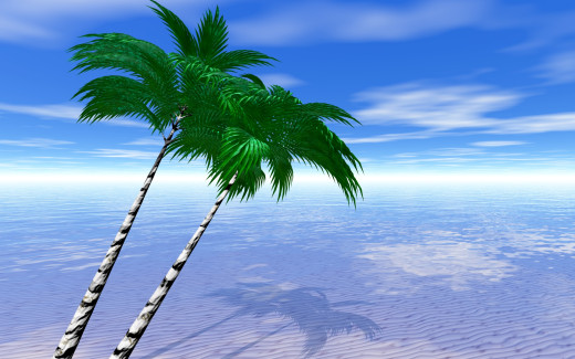 539566 (a): :1920x1200